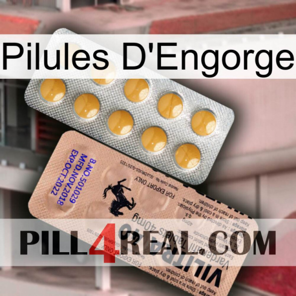 Engorge Pills 41